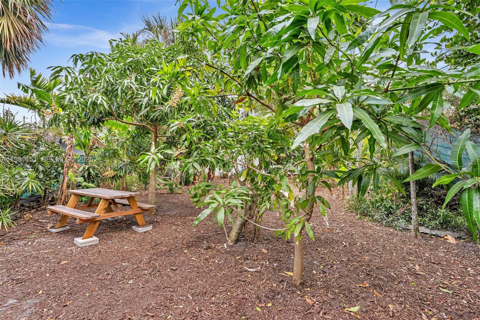 BELMAR AMENDED - Residential