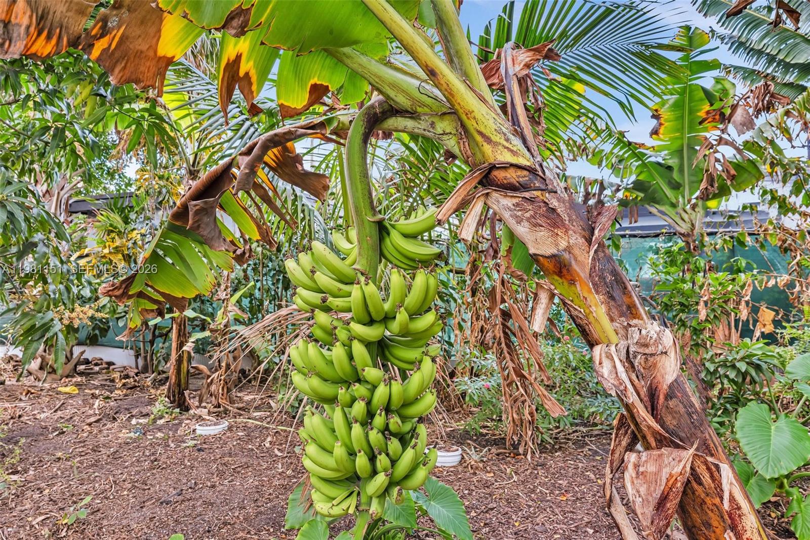 BELMAR AMENDED - Residential