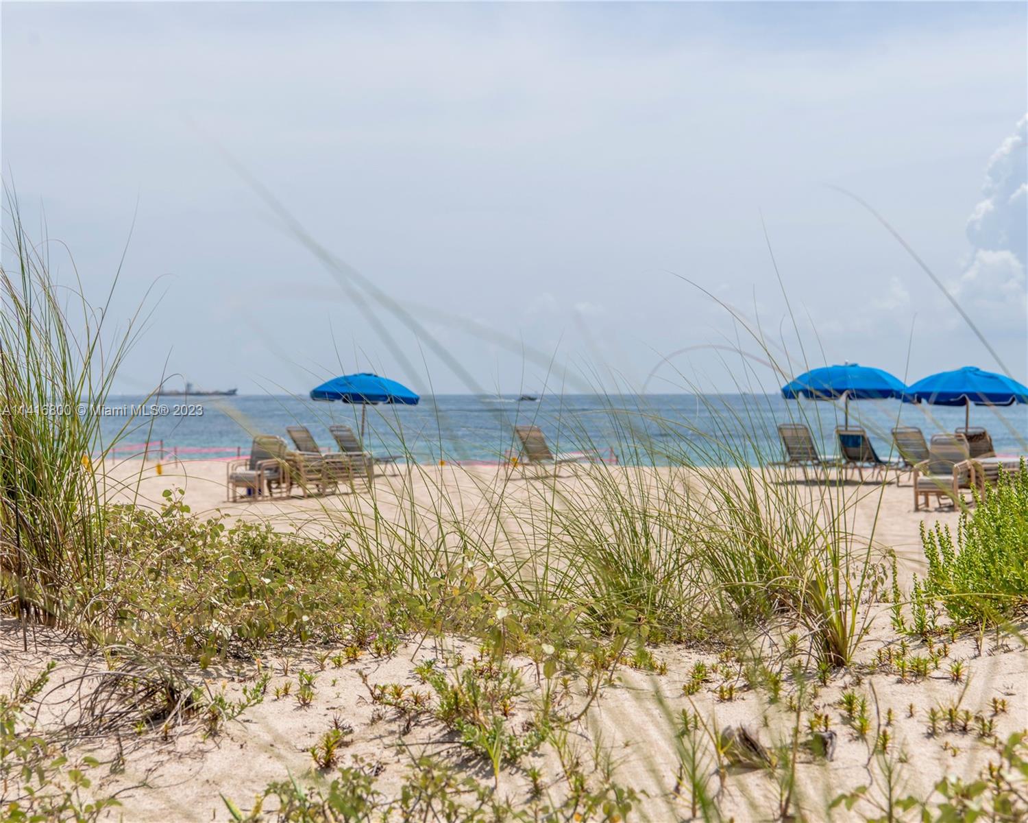 Harbor beach - Residential