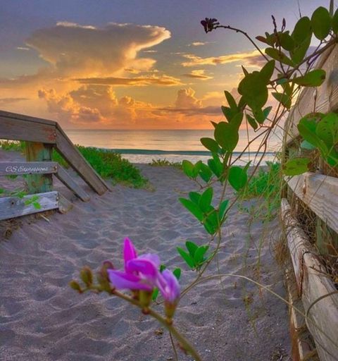 A home in Vero Beach