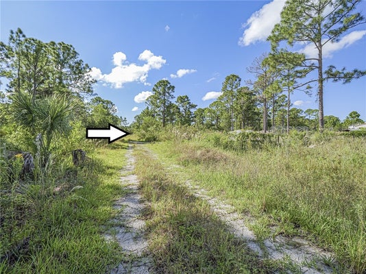 12810 88TH STREET, FELLSMERE, FL 32948 - Image 6ccac0ff09de2d9e2b84321e086f1379/799290536