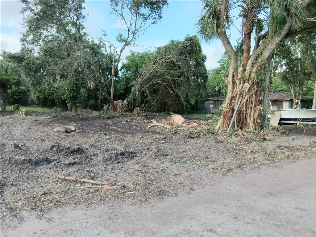 View of tree filled area