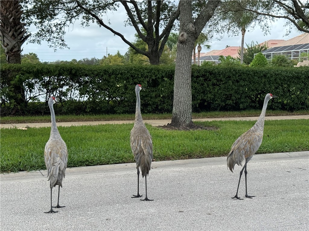 Vero Beach, Florida 32967, United States, 3 Bedrooms Bedrooms, ,2 BathroomsBathrooms,Residential,Active,227166