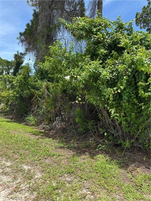 1290 11TH AVE SW, VERO BEACH, FL 32962 - Image 94c611c3fe9e6955ec00e751f2010073/3291488155
