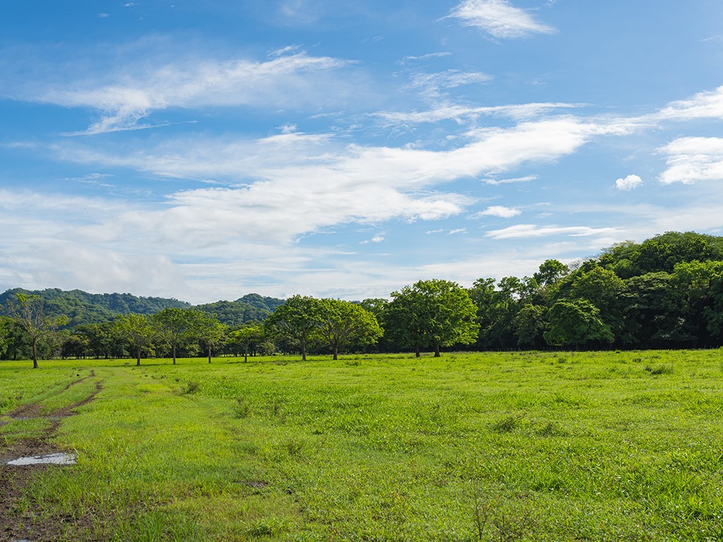 160 Rio Seco, Guanacaste, Costa Rica Road