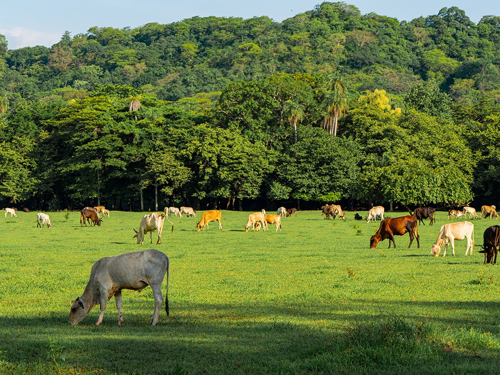 160 Rio Seco, Guanacaste, Costa Rica Road