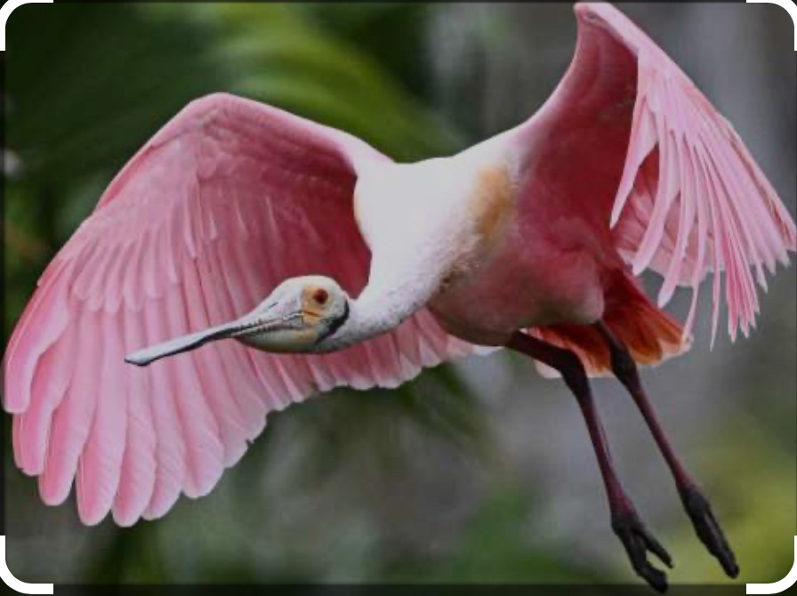 Vero Beach, Florida 32963, United States, 2 Bedrooms Bedrooms, ,2 BathroomsBathrooms,Residential,Active,40523