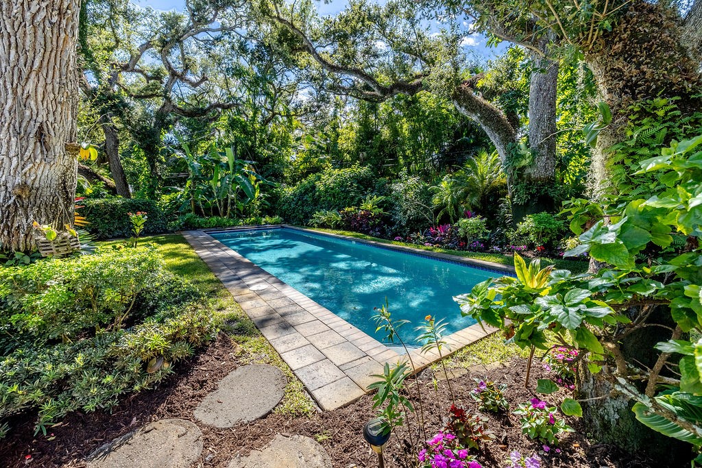 720 Painted Bunting Lane