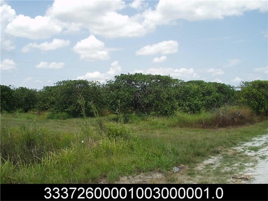 0 146TH AVENUE, VERO BEACH, FL 32968 - Image e80bd1411d481b4588738ca7ac33a708/3790952538