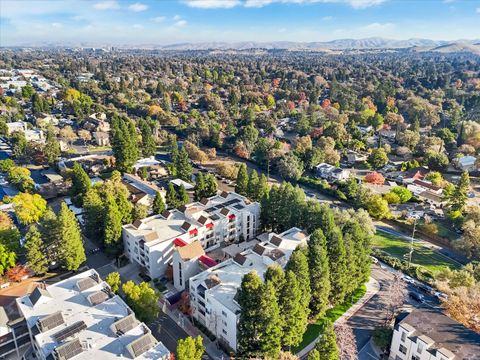 A home in Walnut Creek