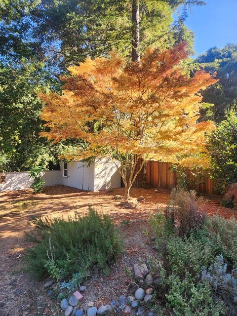 A home in Ben Lomond