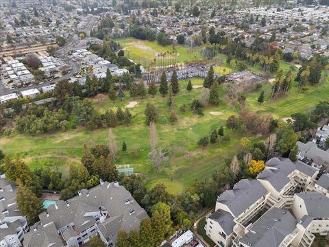 A home in Sunnyvale