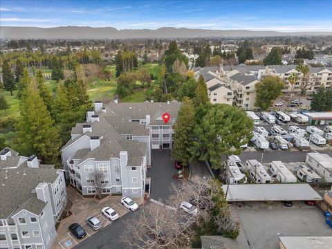 A home in Sunnyvale