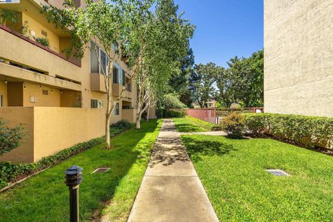 A home in Walnut Creek