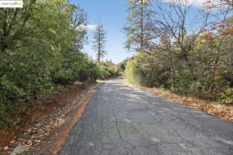 Photo of 4544 Sheep Ranch Rd, Murphys, CA 95247 (MLS # 41119666)