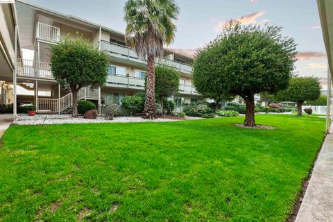 A home in Alameda