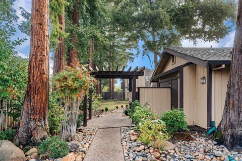 A home in Mountain View