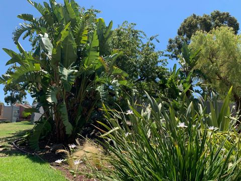 A home in Milpitas