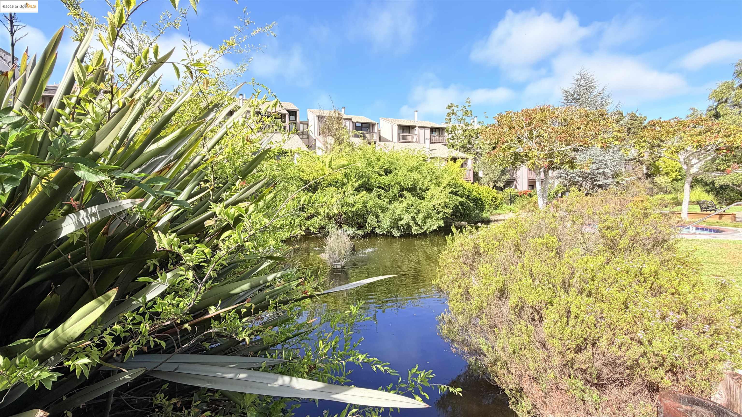 Alameda, California 94501, United States, 2 Bedrooms Bedrooms, ,2 BathroomsBathrooms,Residential,Active,243724