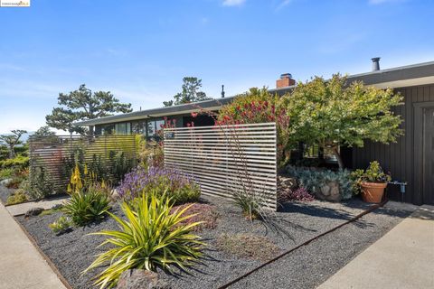 A home in El Cerrito