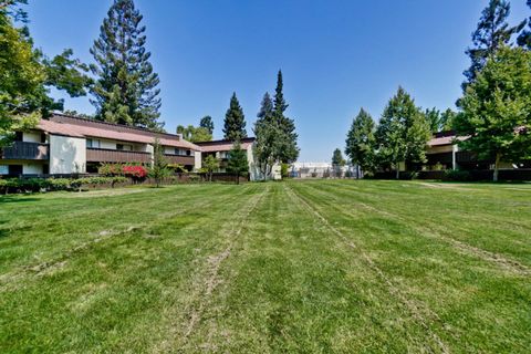 A home in Sunnyvale