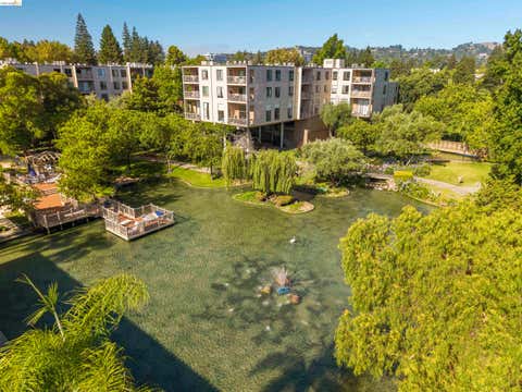 420 N Civic Dr Unit 207, Walnut Creek, CA 94596 - #: 41142039