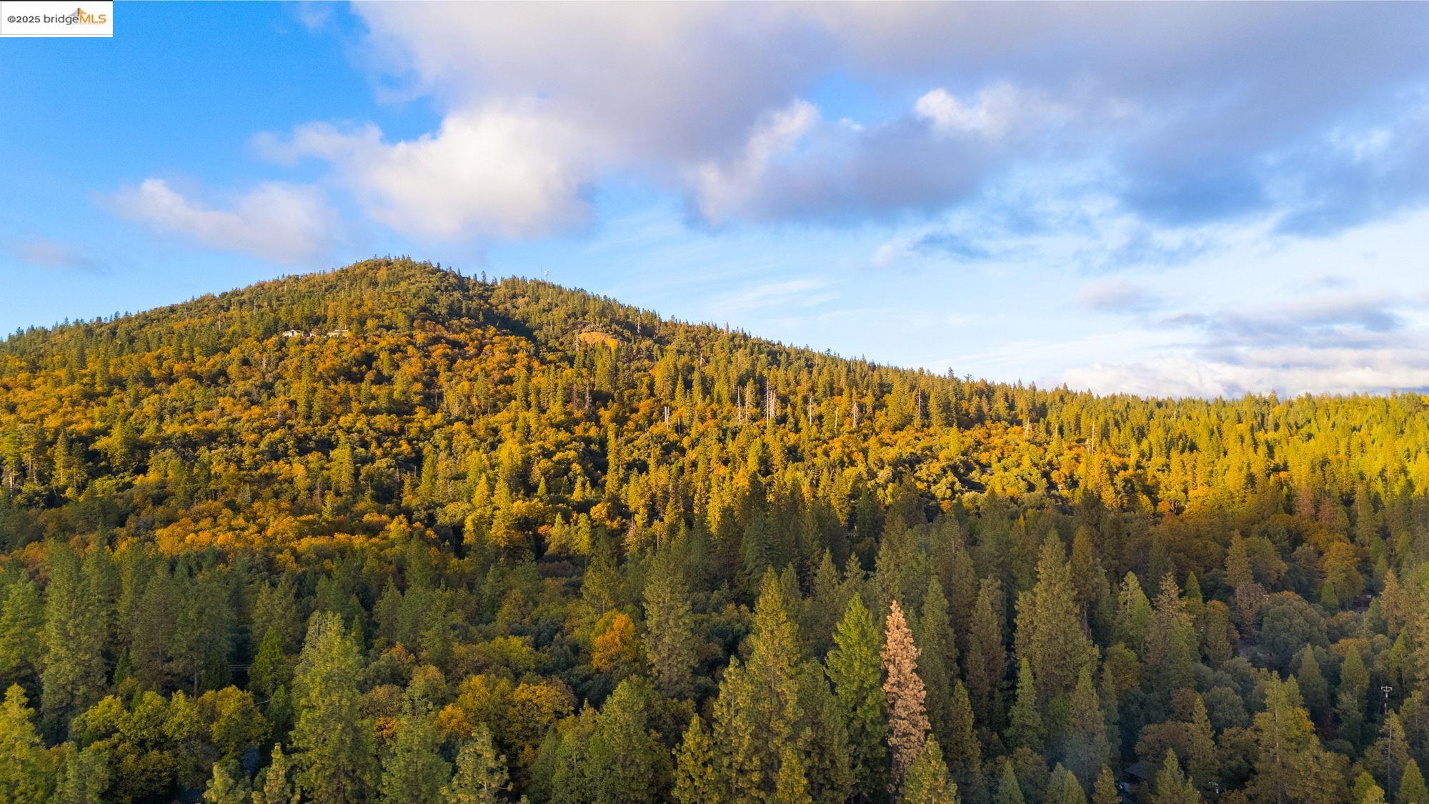 Twain Harte, California 95383, United States, 4 Bedrooms Bedrooms, ,3 BathroomsBathrooms,Residential,Active,240283