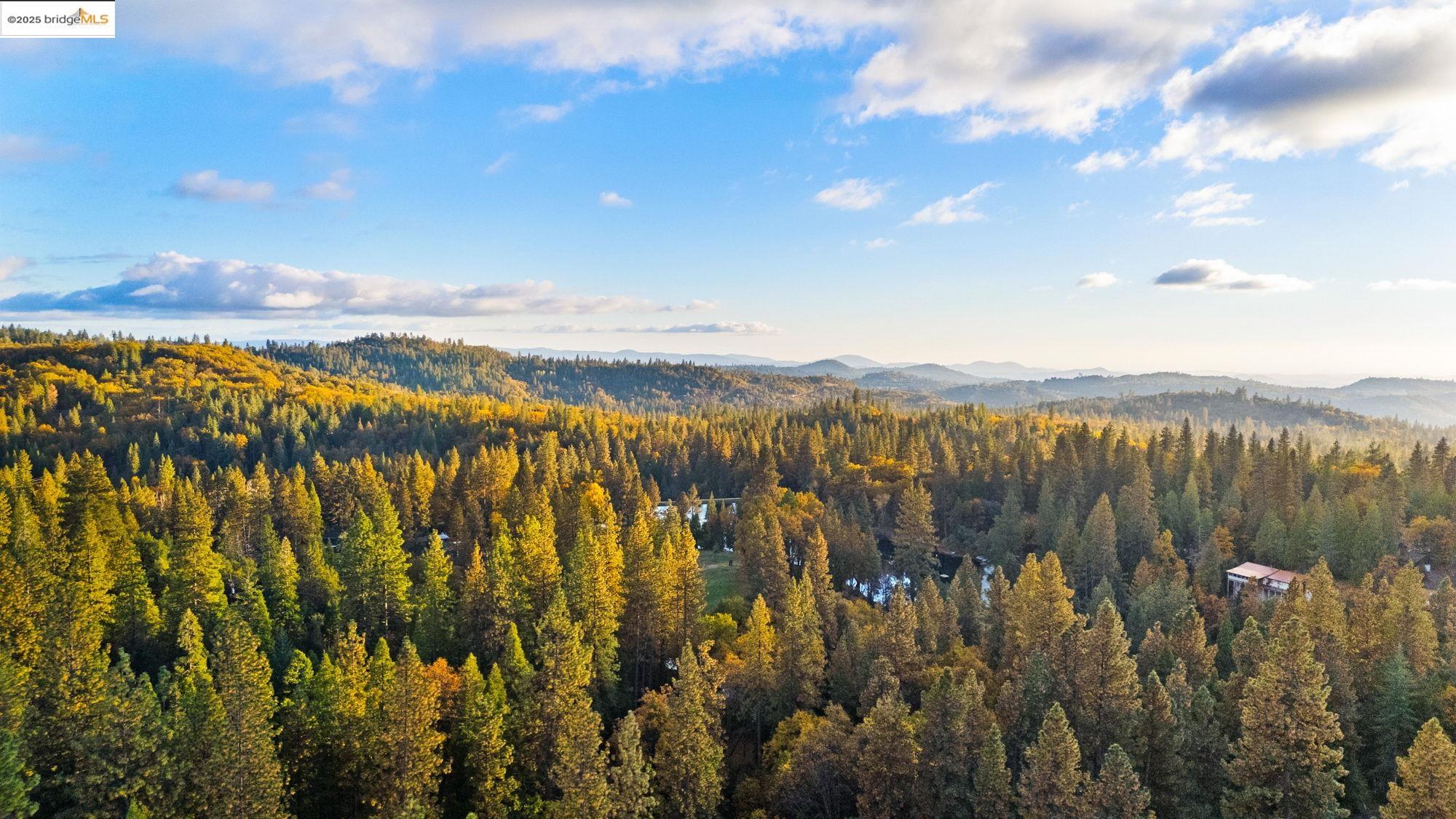 Twain Harte, California 95383, United States, 4 Bedrooms Bedrooms, ,3 BathroomsBathrooms,Residential,Active,240283