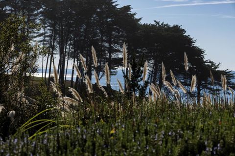 A home in Aptos