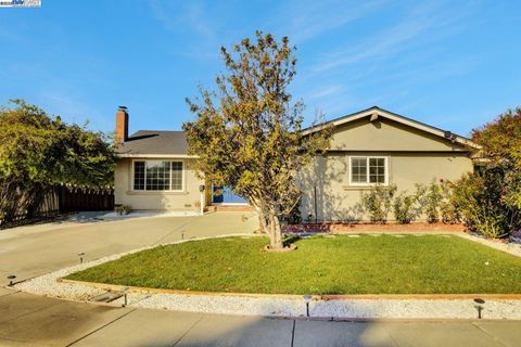 Photo of 5665 Dewey Pl, Fremont, CA 94538 (MLS # 41118673)