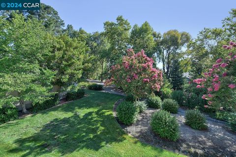 A home in Walnut Creek