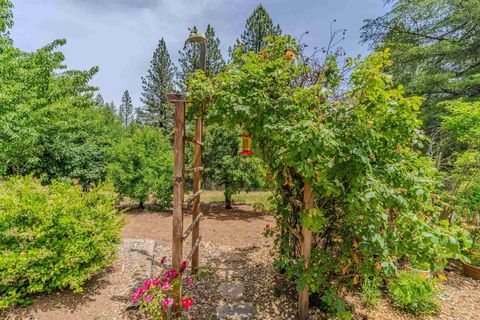 A home in Mokelumne Hill