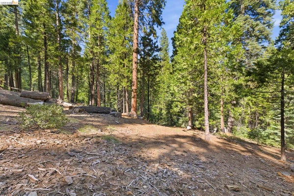 29646 KERNS DR, LONG BARN, CA 95335 - Image 17becd26f2b7c8f4b4887552c5bf6eb8/2622326488