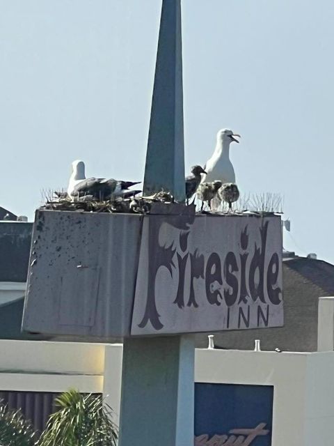 A home in Santa Cruz