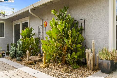 A home in Pleasanton