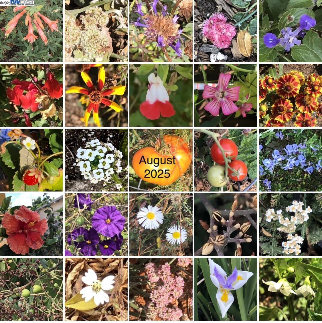 Alameda, California 94501, United States, 3 Bedrooms Bedrooms, ,2 BathroomsBathrooms,Residential,Active,253943