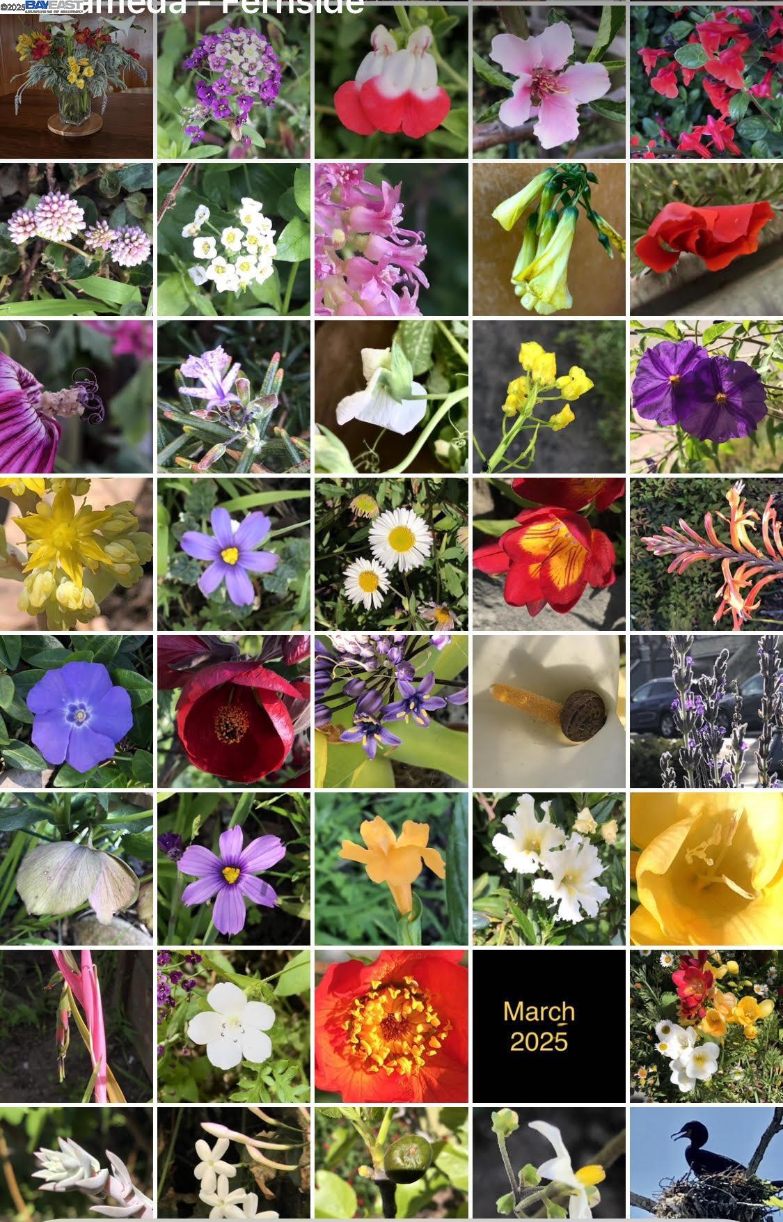 Alameda, California 94501, United States, 3 Bedrooms Bedrooms, ,2 BathroomsBathrooms,Residential,Active,253943