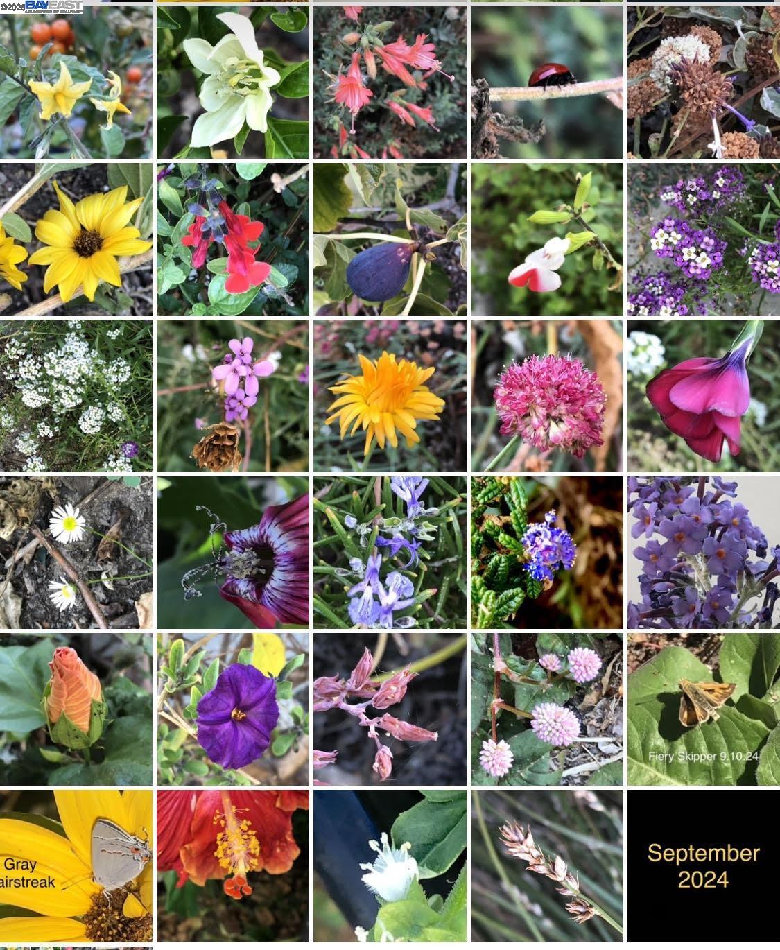 Alameda, California 94501, United States, 3 Bedrooms Bedrooms, ,2 BathroomsBathrooms,Residential,Active,253943