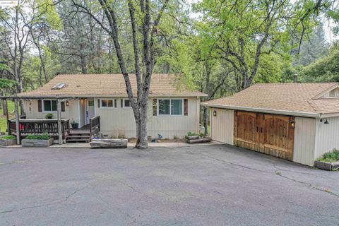 Photo of 12874 Green Valley Cir, Groveland, CA 95321 (MLS # 41119135)