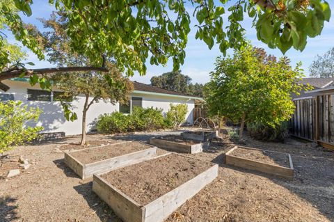 A home in Sunnyvale