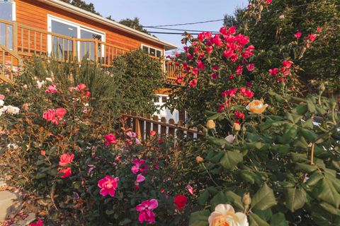 A home in Oakland