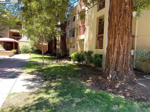 A home in Walnut Creek