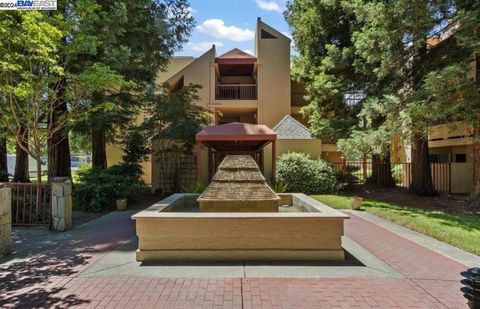 A home in Walnut Creek