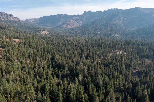 EAGLE MEADOW RD, PINECREST, CA 95364 - Image 2367e4be0a8547e651af6533d46bb40e/455018719
