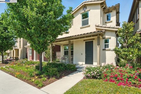 218 Stratus Cmn Livermore CA 94550