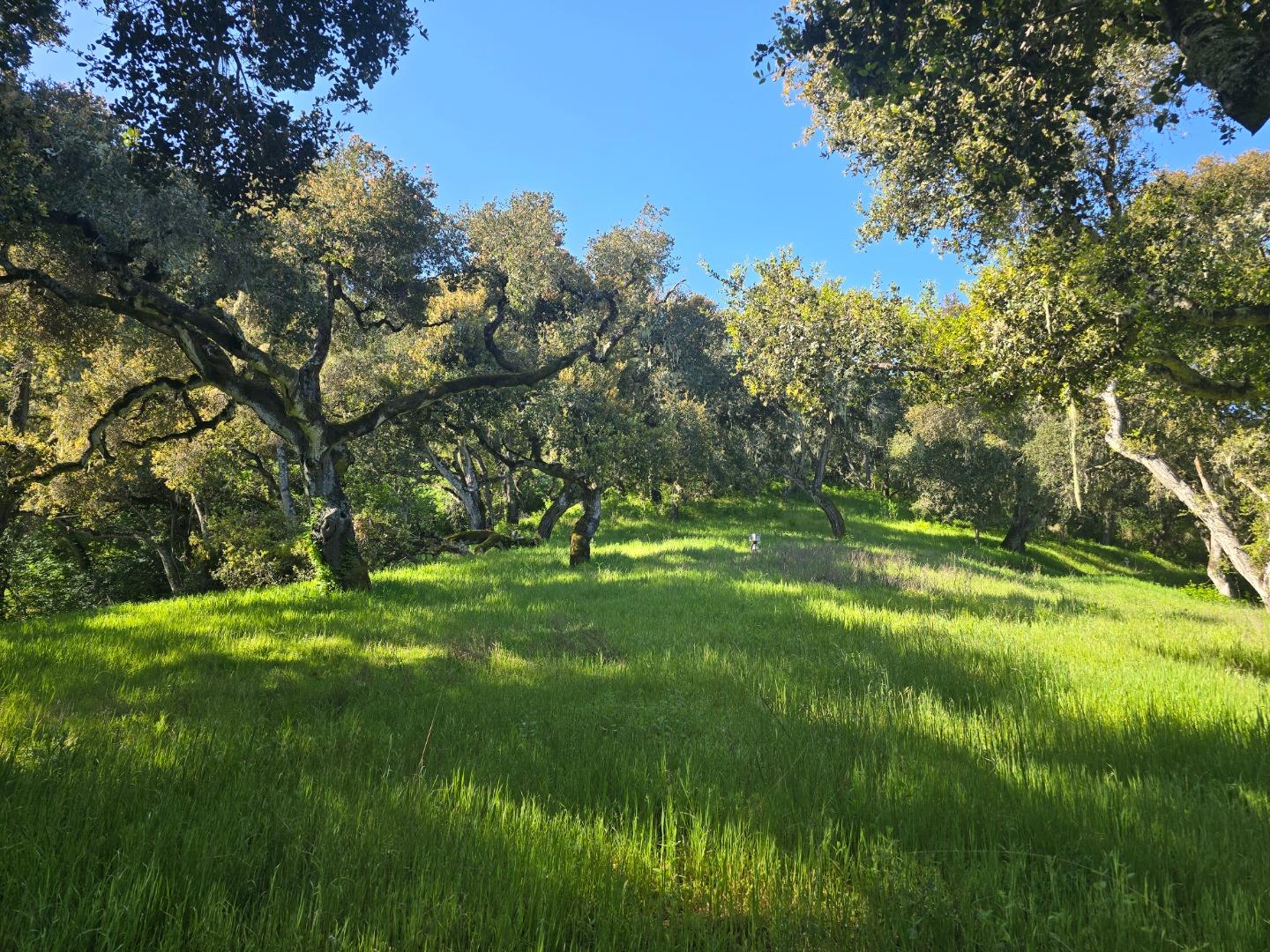 Photo 1 of 28 — 16 SLEEPY HOLLOW DRIVE, Carmel Valley, CA 93924