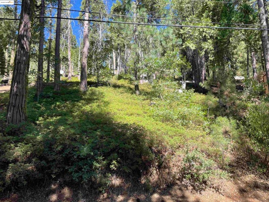 25476 REBEKAH RD, LONG BARN, CA 95335 - Image 2637ddaf3bef43863464dc65c19fa49d/2760805842