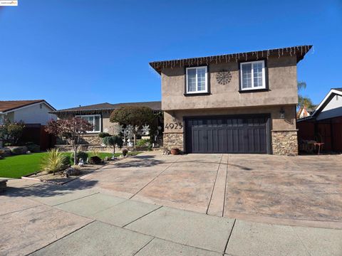 Photo of 4925 New Ramsey Ct, San Jose, CA 95136 (MLS # 41119136)