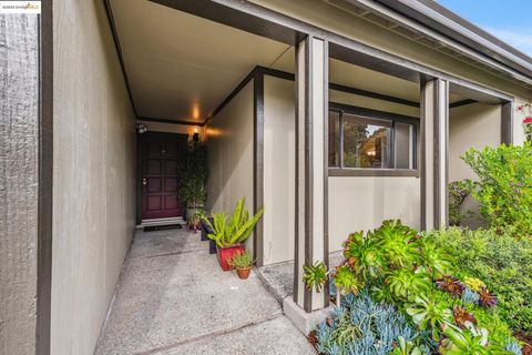 A home in El Cerrito