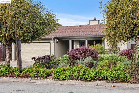 A home in El Cerrito